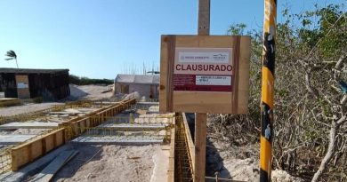 Profepa clausuró proyecto Villas Marías de Sisal por daño ecológico