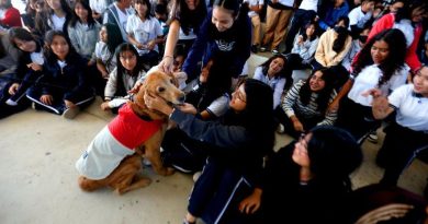 Aplican canoterapia en escuelas de Yucatán 