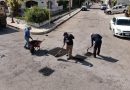 Disminuyeron un 66% los reportes de baches