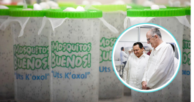 Yucatán avanza en la creación de una biofábrica de mosca estéril