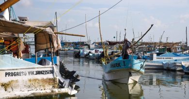 Abren convocatoria al Premio Estatal de Pesca y Acuacultura Ejemplar 2025 en Yucatán