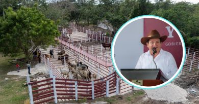 Gobierno de Yucatán impulsa la ganadería en Cenotillo con infraestructura y apoyos directos