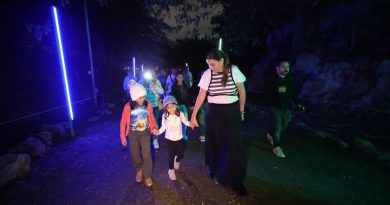 Abren “Sendero de Magia y Luz” en el Poniente