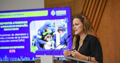 Mérida obtiene reconocimiento global por su estrategia de bienestar animal