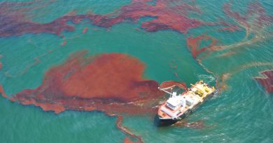 Comunidades del Golfo exigen reunión con Sheinbaum por daños petroleros
