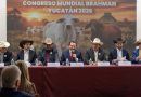 Yucatán será sede del Congreso Mundial Brahman 2026