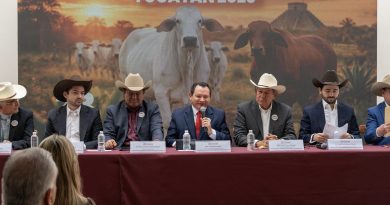 Yucatán será sede del Congreso Mundial Brahman 2026