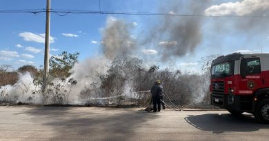 Controlan incendio en basurero clandestino de la Reserva Cuxtal