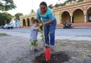 Reforestan Dzityá con apoyo comunitario