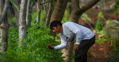 Rancho El Encuentro: la tierra que se trabaja y se cuida en San Pedro Chimay