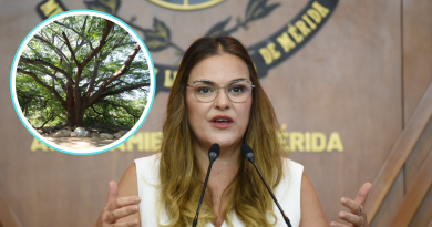 Presenta Cecilia Patrón actualización del Plan de Infraestructura Verde