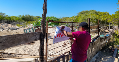Chelem: segundo operativo en menos de un mes por daños a manglares&nbsp;