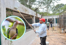 Parque Yumtsil contará con unidad de rescate para aves