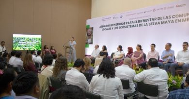 Yucatán se integra a proyecto regional para conservar la selva maya
