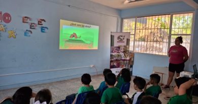 Infancias aprenden en Mérida por qué las aves no deben vivir en cautiverio