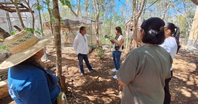 Proyecto Santa María recibe visita de organismo internacional líder en conservación de loros