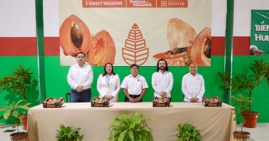 Yucatán concreta primer envío histórico de mamey al Reino Unido