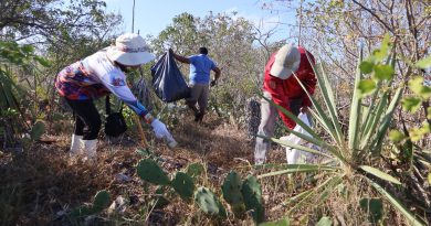 Yucatán y Campeche retiran más de 760 kg de basura en Celestún