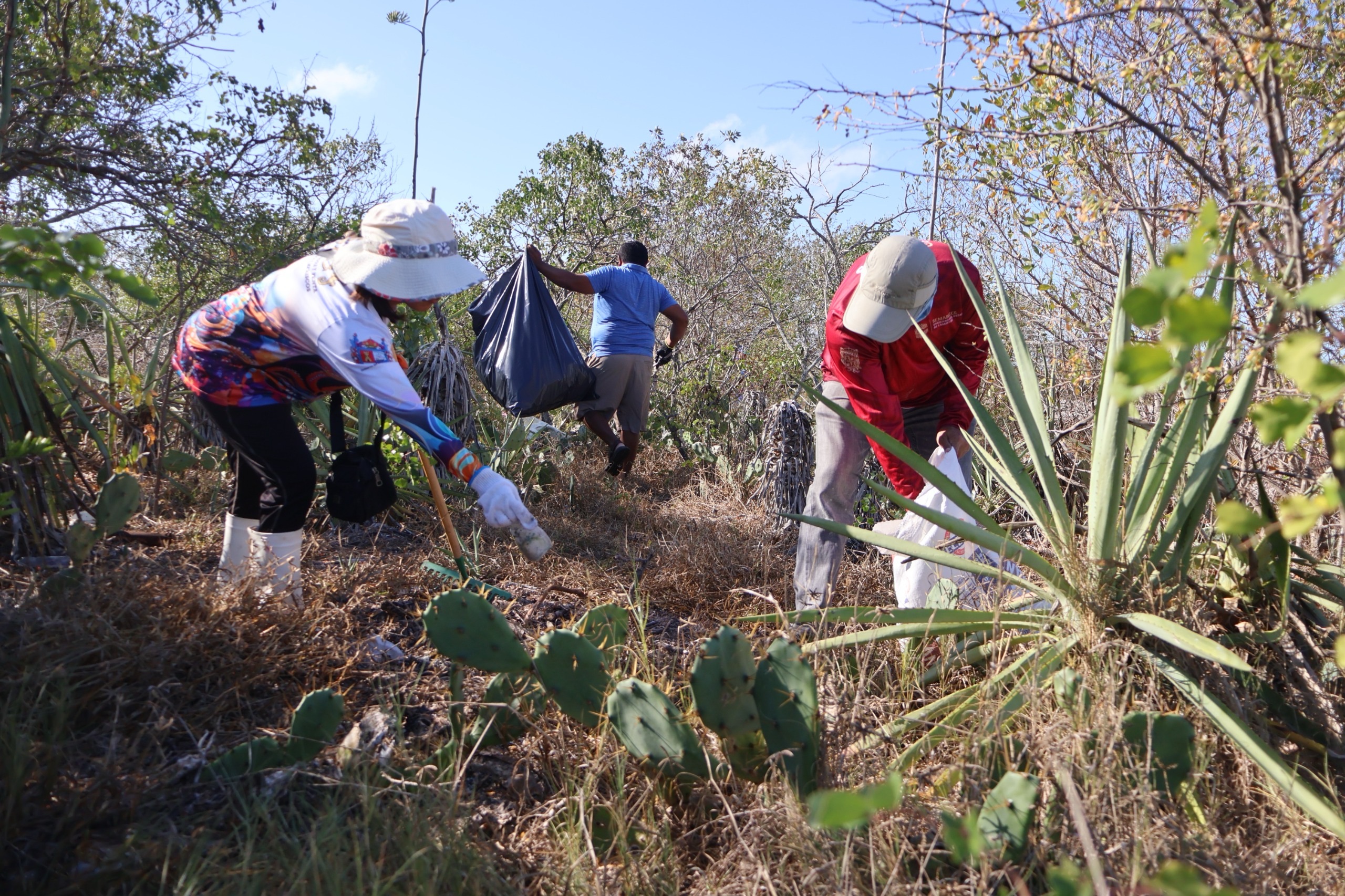 Yucatán y Campeche retiran más de 760 kg de basura en Celestún - Líneas  Emergentes