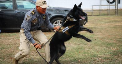Integran binomios caninos para detección de explosivos en Yucatán