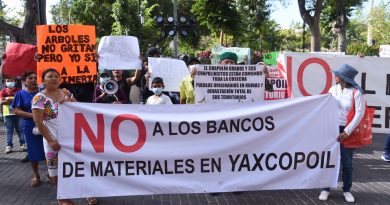 “Alto a la minería en nuestro territorio”: comunidades mayas alzan la voz en Palacio de Gobierno