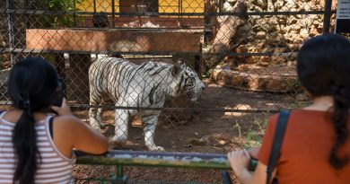 Anuncia Ayuntamiento horarios especiales por Semana Santa en Mérida