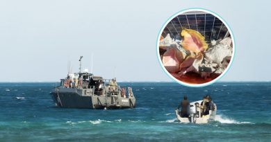 Frenan pesca ilegal de caracol rosado en Alacranes; hay tres detenidos