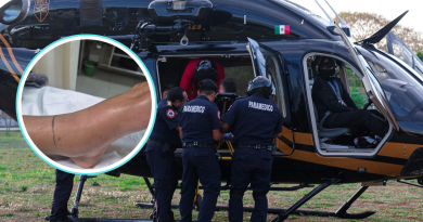 Salvan a menor mordida por serpiente de cascabel en Tizimín