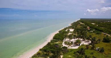 Blindarán la Reserva El Palmar en Celestún