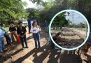 Avanzan los trabajos del primer Corredor Verde de Mérida