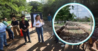 Avanzan los trabajos del primer Corredor Verde de Mérida