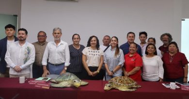 Inicia temporada de anidación de tortugas marinas en Yucatán