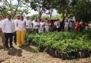 Impulsan reforestación en escuelas con entrega masiva de árboles en Yucatán