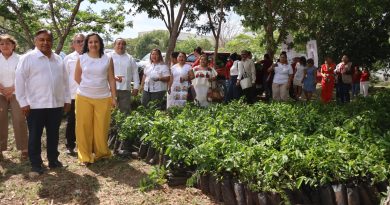 Impulsan reforestación en escuelas con entrega masiva de árboles en Yucatán