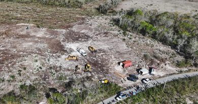 Clausuran predio en Tekax por desmonte ilegal de 18 hectáreas de selva