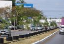 Serán más de 250 los árboles endémicos que se sembrarán en Circuito Colonias poniente