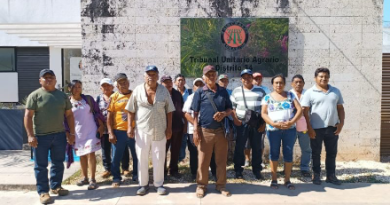 Avanza demanda contra el INAH por conflicto en Mayapán
