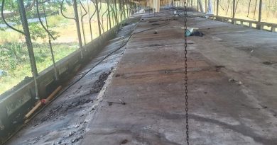 Profepa confirmó retiro total de cerdos de la granja de Santa María Chi