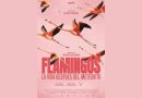 Documental “Flamingos, la vida después del meteorito” llegará gratis a Mérida, Celestún y Sisal