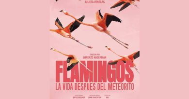 Documental “Flamingos, la vida después del meteorito” llegará gratis a Mérida, Celestún y Sisal