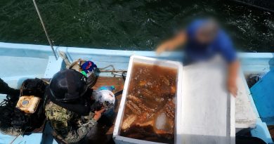 Vinculan a proceso a tres detenidos con 250 kilos de pepino de mar en Yucatán