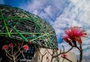 Sedeculta y Fonoteca Nacional traen a Yucatán concierto inmersivo de paisajes sonoros