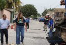 Mérida refuerza combate a mosquitos y bacheo tras las lluvias