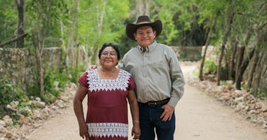 Caminos rurales para fortalecer producción del campo en Tekax
