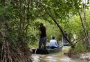 Yucatán será sede del primer foro sobre carbono azul en ecosistemas costeros