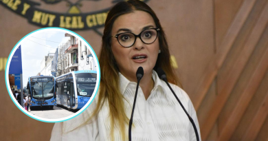 Cecilia responde a senadora: el Va y Ven no es el único factor de los baches