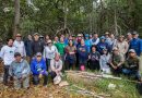 Nace red de carbono azul en Yucatán