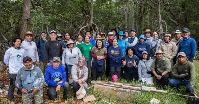 Nace red de carbono azul en Yucatán