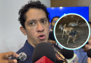 Capturan a 4 perros tras muerte de seis animales en el Centenario