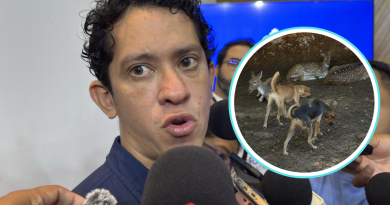Capturan a 4 perros tras muerte de seis animales en el Centenario